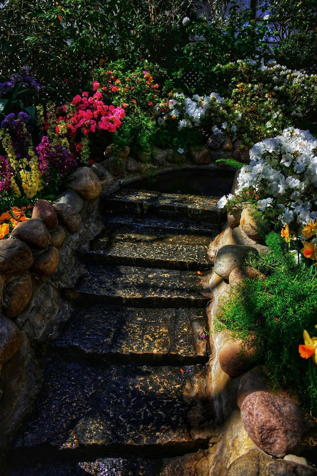 AlpenGarten 2